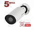 Beward SV3218R2 (6) 5Mp Уличная цилиндрическая IP-видеокамера с ИК-подсветкой до 50 м