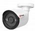 Уличная цилиндрическая UVC-видеокамера Tigris THL-S50 (2.8) 5Mp с ИК-подсветкой до 25м